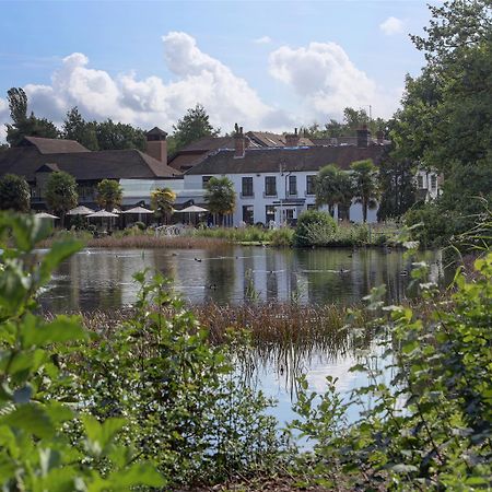 Frensham Pond Country House Hotel & Spa Farnham  Exteriér fotografie