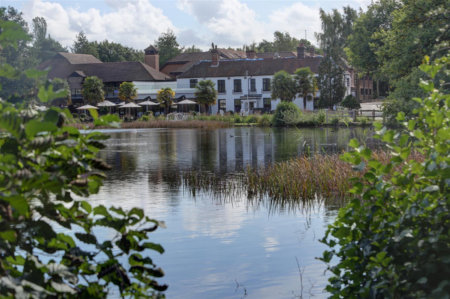 Frensham Pond Country House Hotel & Spa Farnham  Exteriér fotografie